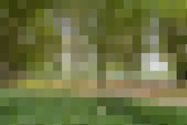 Merodelaan 99 Breda thumbnail 46