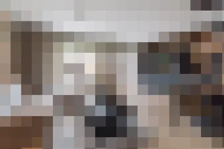 Merodelaan 99 Breda thumbnail 6