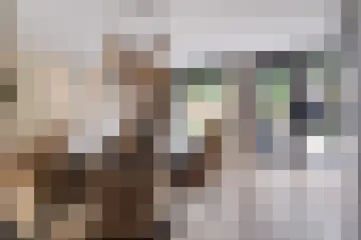 Merodelaan 99 Breda thumbnail 8