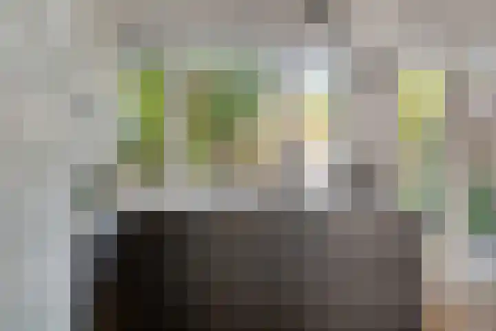 Merodestraat 10 Zevenbergen foto 3