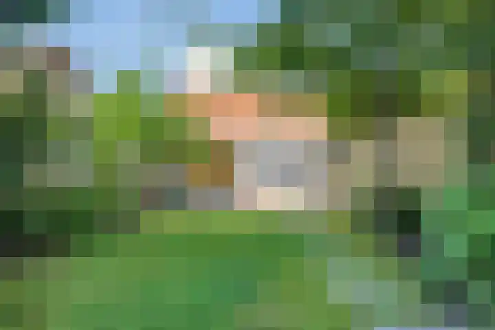 Merodestraat 10 Zevenbergen thumbnail 6