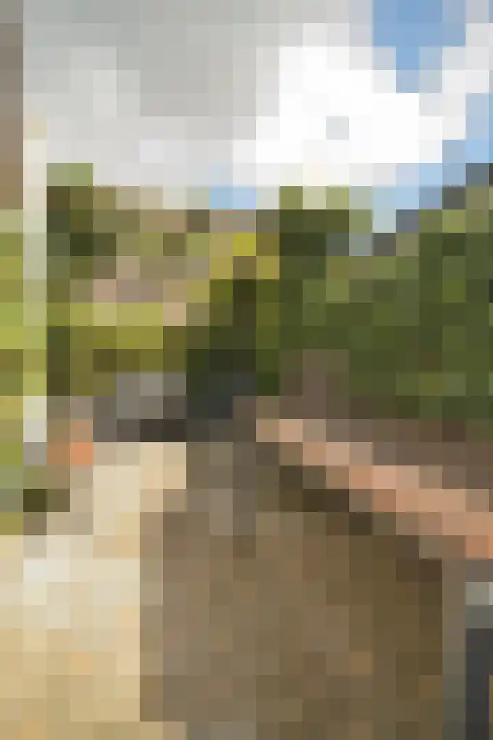 Merodestraat 27 Eygelshoven thumbnail 28