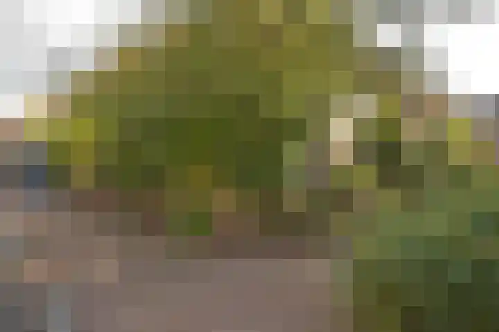 Merodestraat 27 Eygelshoven thumbnail 4