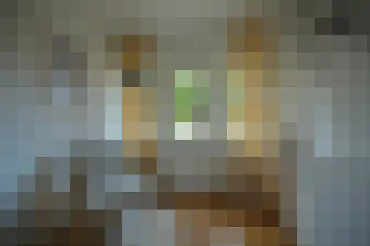 Merodestraat 27 Eygelshoven thumbnail 42