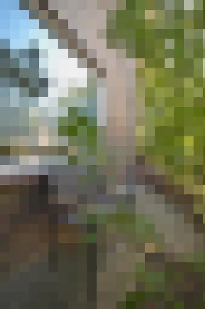 Merodestraat 27 Eygelshoven thumbnail 6