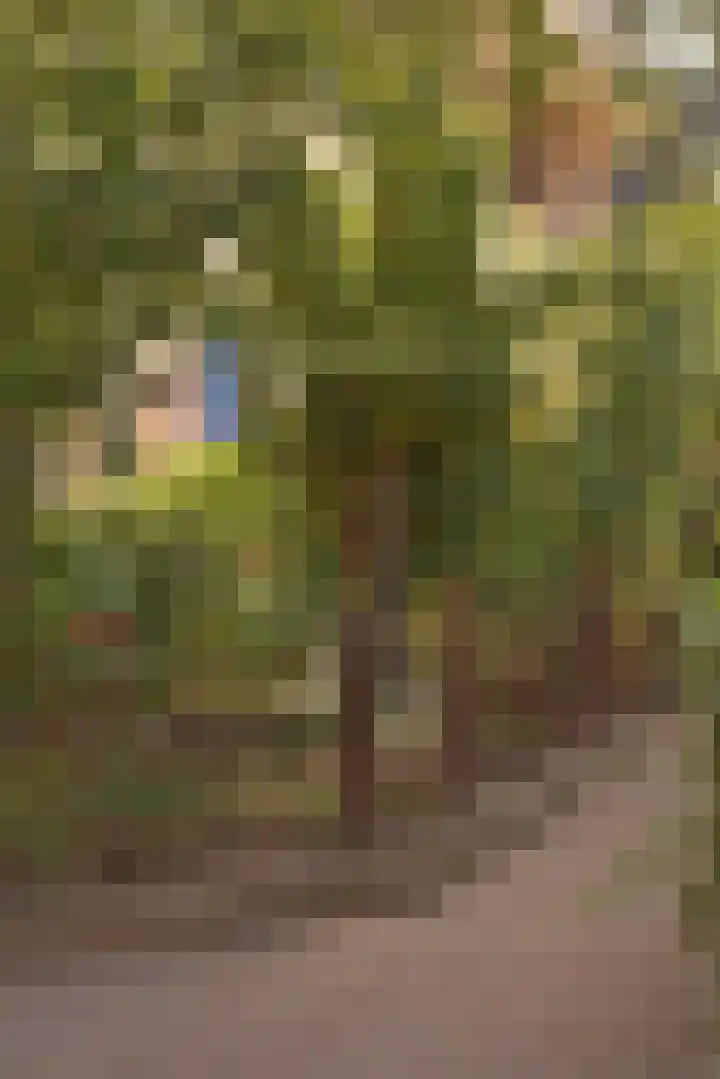 Merodestraat 27 Eygelshoven thumbnail 7