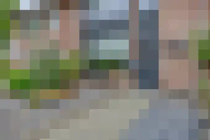 Merodestraat 42 Sint-Oedenrode thumbnail 5
