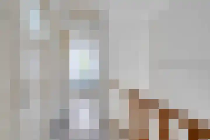 Merovingenstraat 42 Maastricht thumbnail 8
