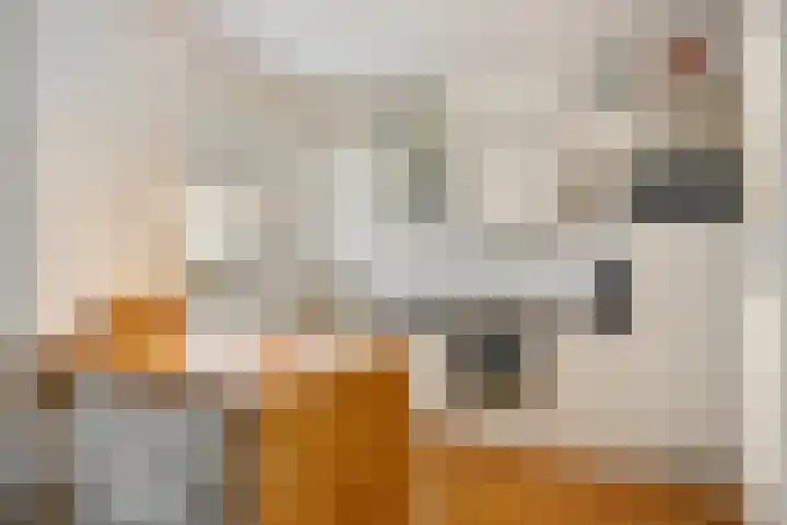 Merovingenstraat 51 Maastricht thumbnail 8