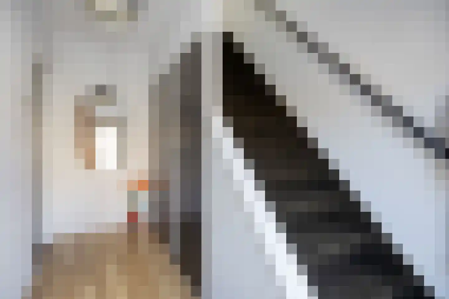 Merovingenstraat 61 Maastricht thumbnail 21
