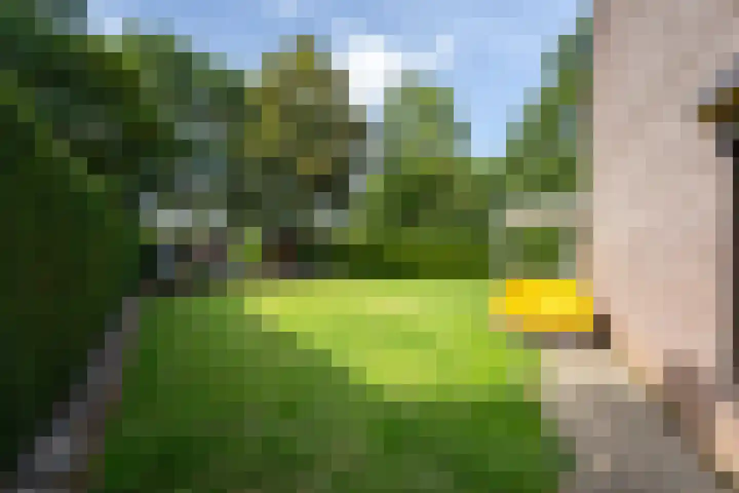 Merovingenstraat 84 Sittard thumbnail 28
