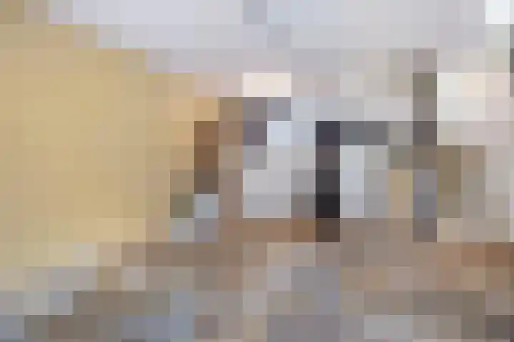 Merovingersstraat 25 Wijk bij Duurstede thumbnail 10