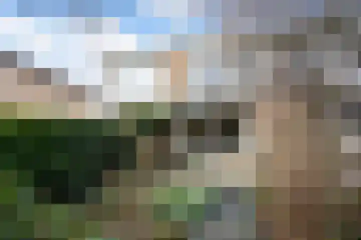 Merovingersstraat 25 Wijk bij Duurstede thumbnail 38