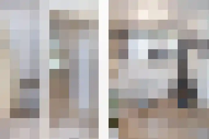 Merovingersstraat 25 Wijk bij Duurstede thumbnail 6