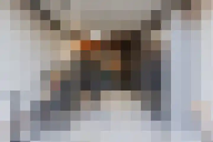 Merovingersweg 1 F Eindhoven thumbnail 24