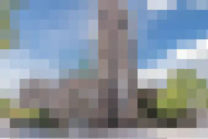 Merovingersweg 1 F Eindhoven thumbnail 30