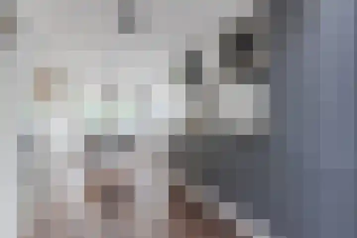 Merovingersweg 1 F Eindhoven thumbnail 7