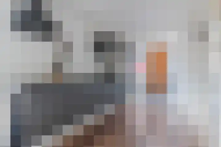 Merovingersweg 1 F Eindhoven thumbnail 9