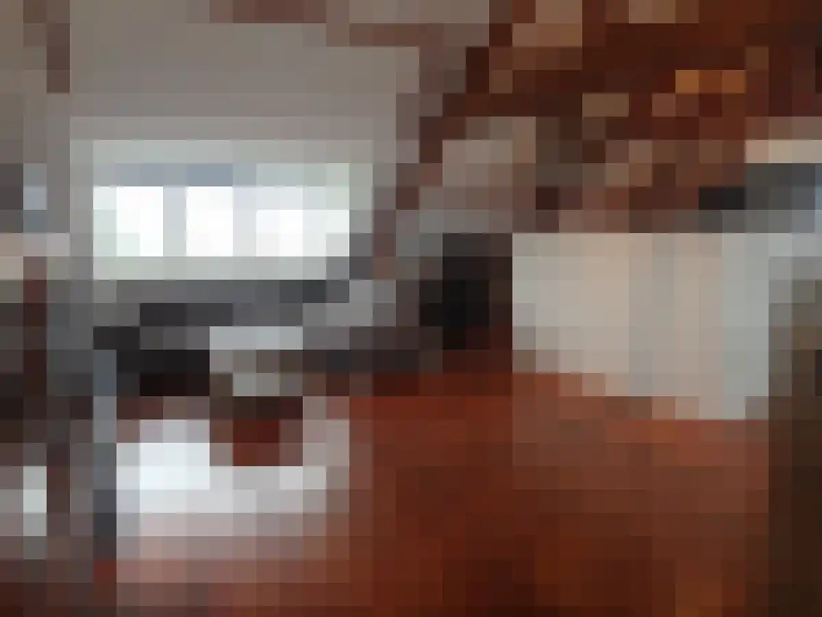 Merovingersweg 10 Eindhoven thumbnail 4