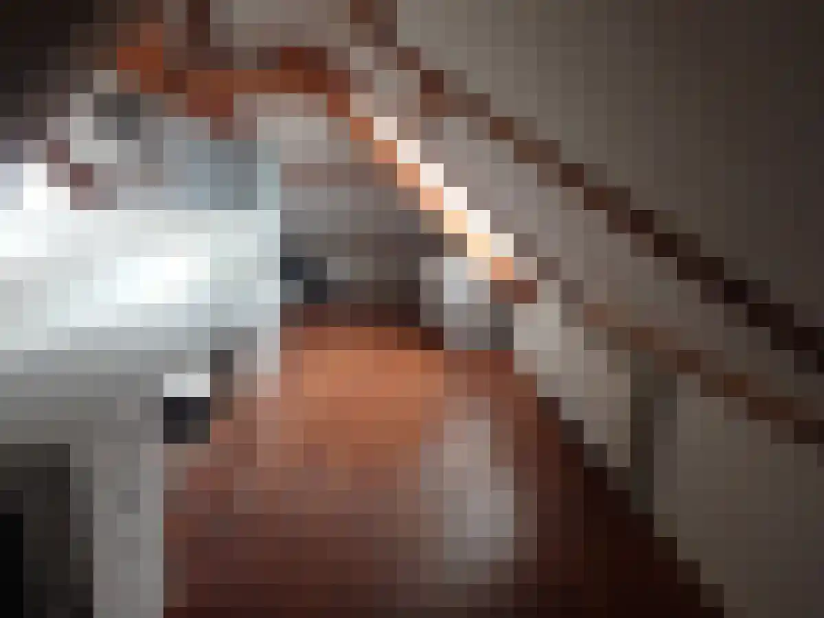 Merovingersweg 10 Eindhoven thumbnail 6