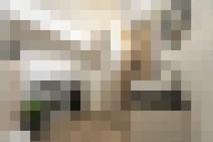 Merschpad 11 Rijnsburg thumbnail 17