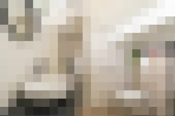 Merschpad 11 Rijnsburg thumbnail 18