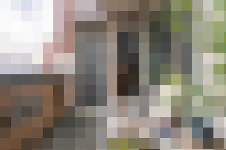 Merschpad 11 Rijnsburg thumbnail 20