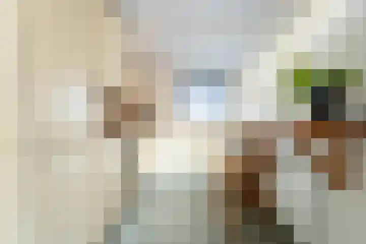 Merschpad 11 Rijnsburg thumbnail 7