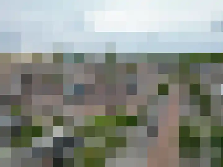 Merschpad 9 Rijnsburg thumbnail 24
