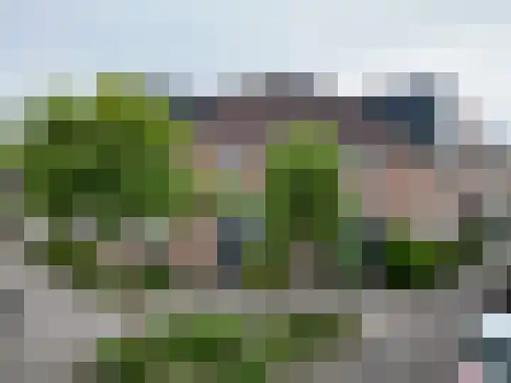 Merschpad 9 Rijnsburg thumbnail 27