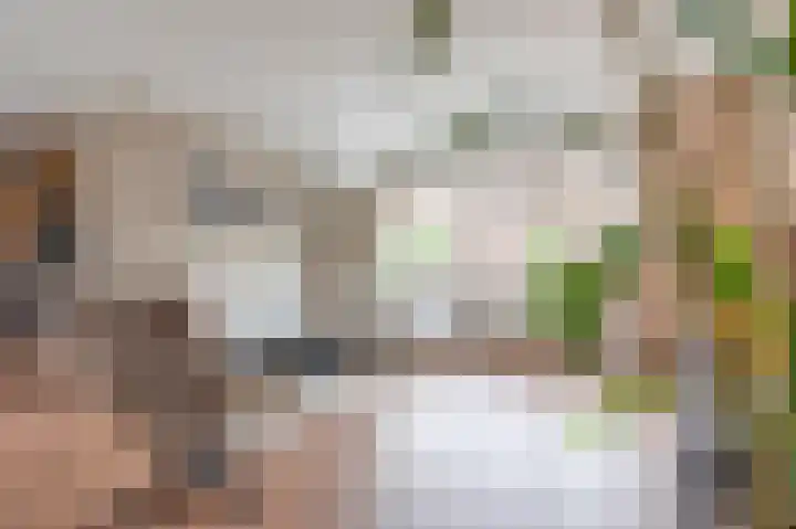 Merschpad 9 Rijnsburg thumbnail 7
