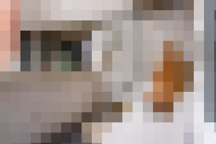 Merschpad 9 Rijnsburg thumbnail 9