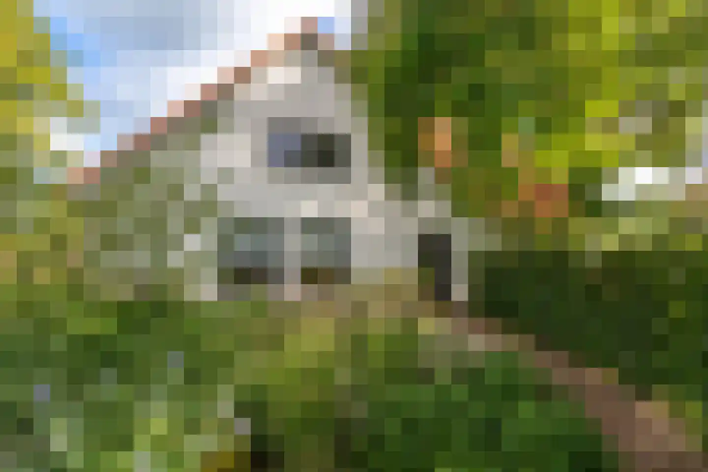 Merseloseweg 11 Overloon thumbnail 11