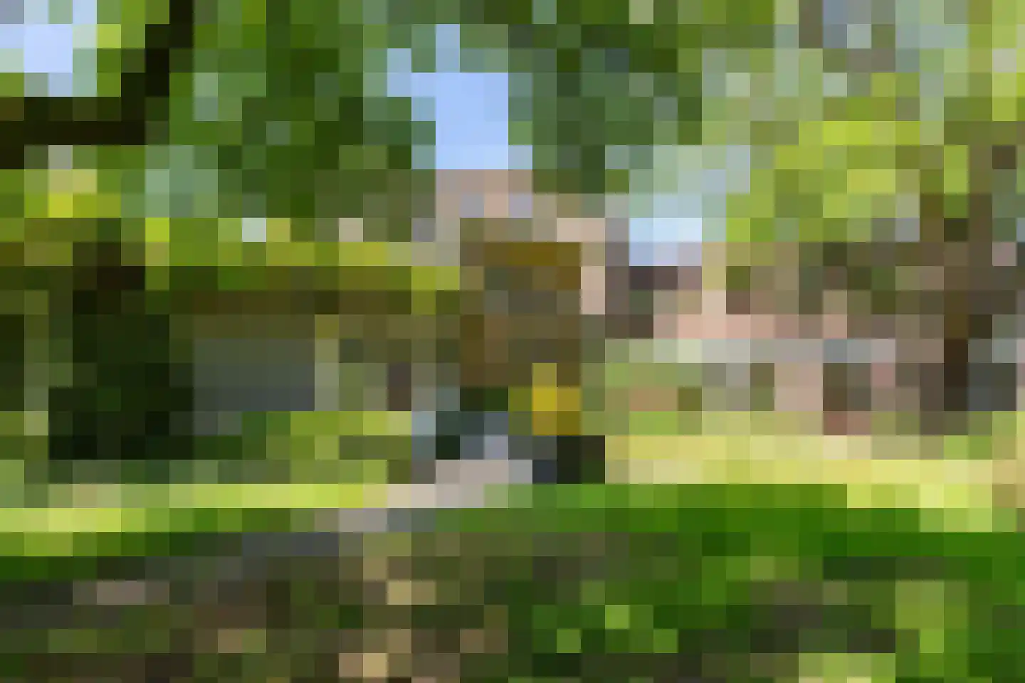 Merseloseweg 121 B Venray thumbnail 7