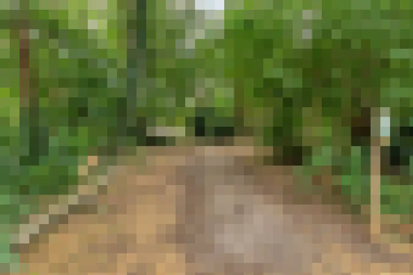 Merseloseweg 121 C Venray thumbnail 33