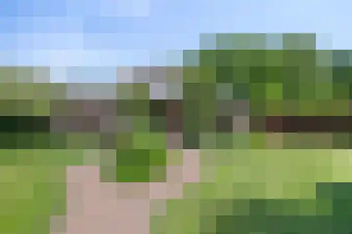Merseloseweg 21 Overloon thumbnail 10