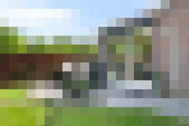 Merseloseweg 21 Overloon thumbnail 11