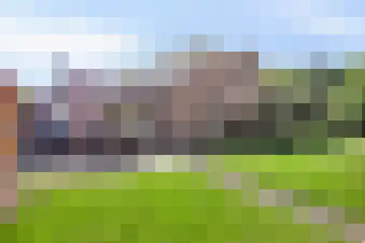 Merseloseweg 21 Overloon thumbnail 12