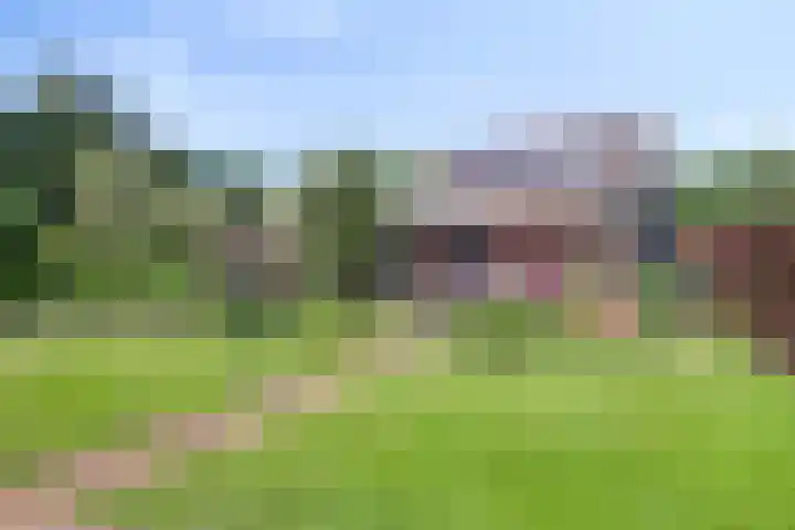 Merseloseweg 21 Overloon thumbnail 13