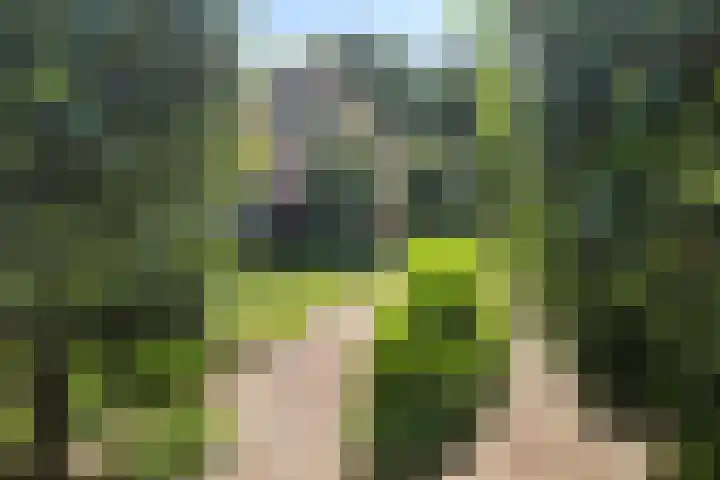 Merseloseweg 21 Overloon thumbnail 15
