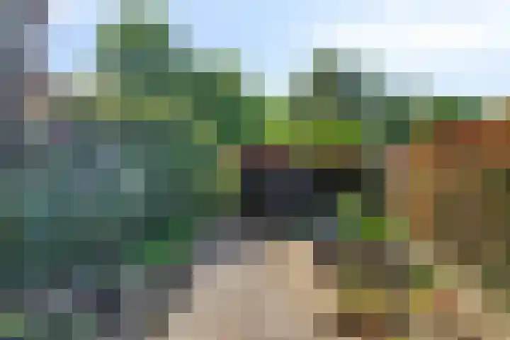 Merseloseweg 21 Overloon thumbnail 19