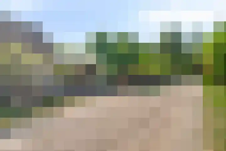 Merseloseweg 21 Overloon thumbnail 20