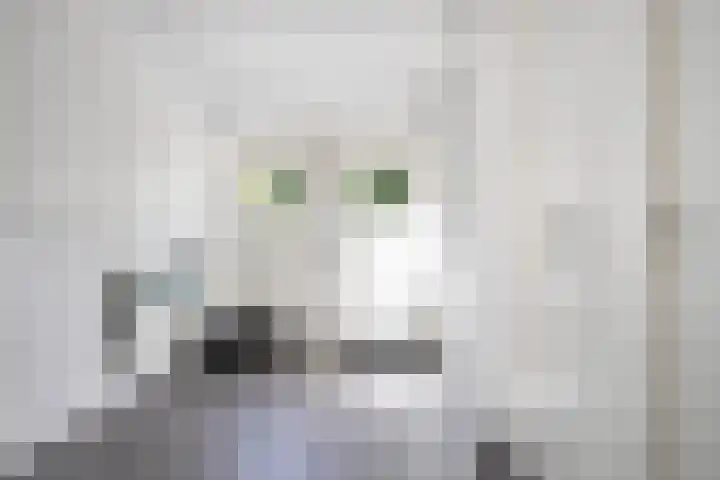Merseloseweg 21 Overloon thumbnail 22