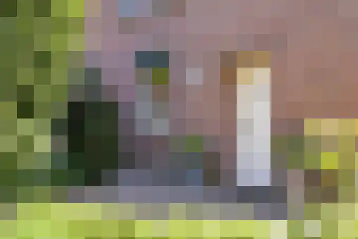 Merseloseweg 21 Overloon thumbnail 4