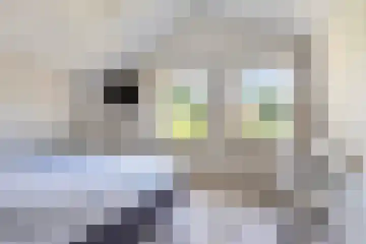 Merseloseweg 21 Overloon thumbnail 44