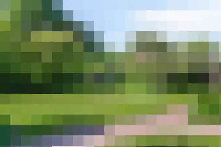 Merseloseweg 21 Overloon thumbnail 5