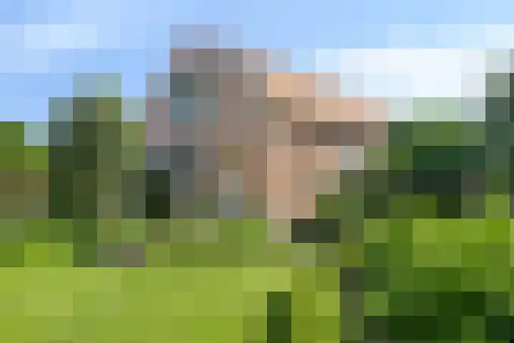 Merseloseweg 21 Overloon thumbnail 54