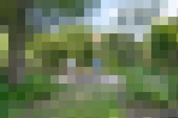 Merseloseweg 21 Overloon thumbnail 6
