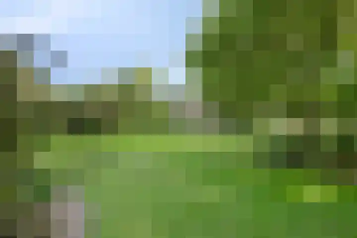 Merseloseweg 21 Overloon thumbnail 7