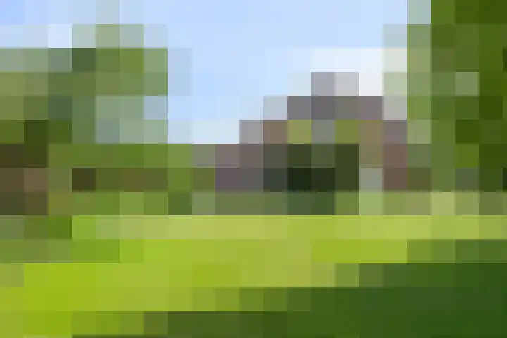 Merseloseweg 21 Overloon thumbnail 8